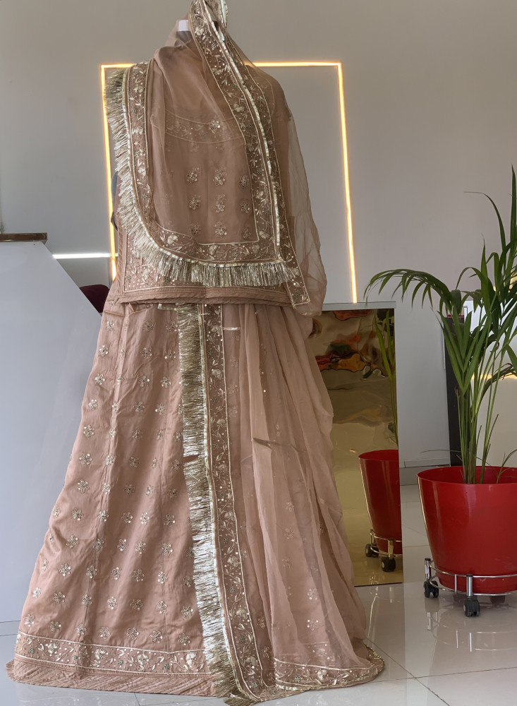 Royal Rajputi Dress